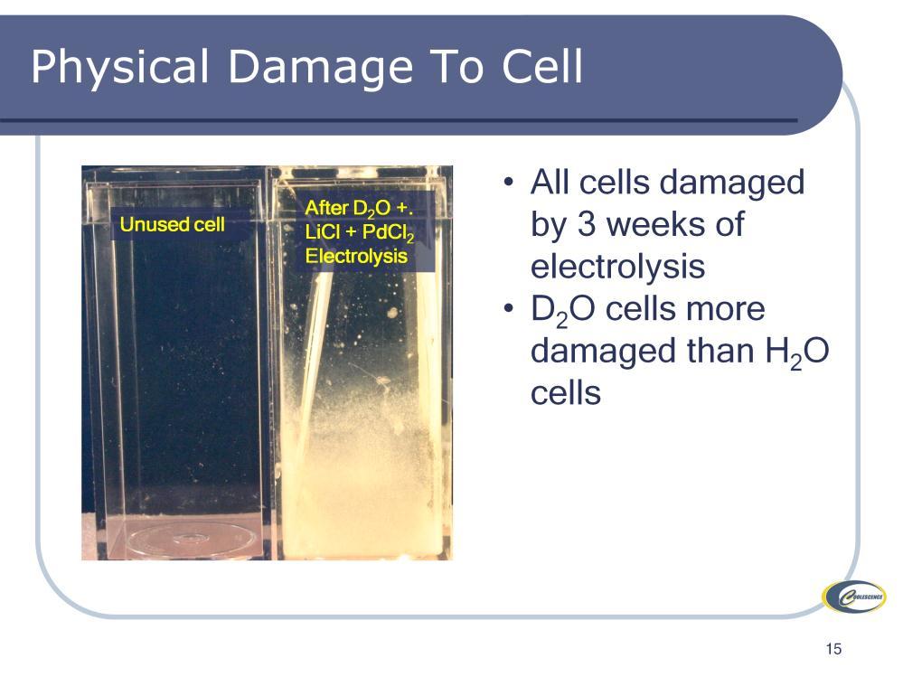 We do not know why D cells were more damaged than H cells.