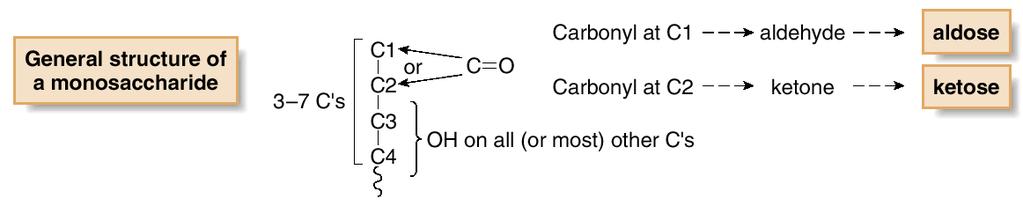 The simplest carbohydrates are called monosaccharides, or simple sugars.