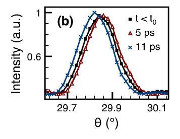 Depolarization Fields and Shift Currents in PbTiO3 Strain ε Polarisation P