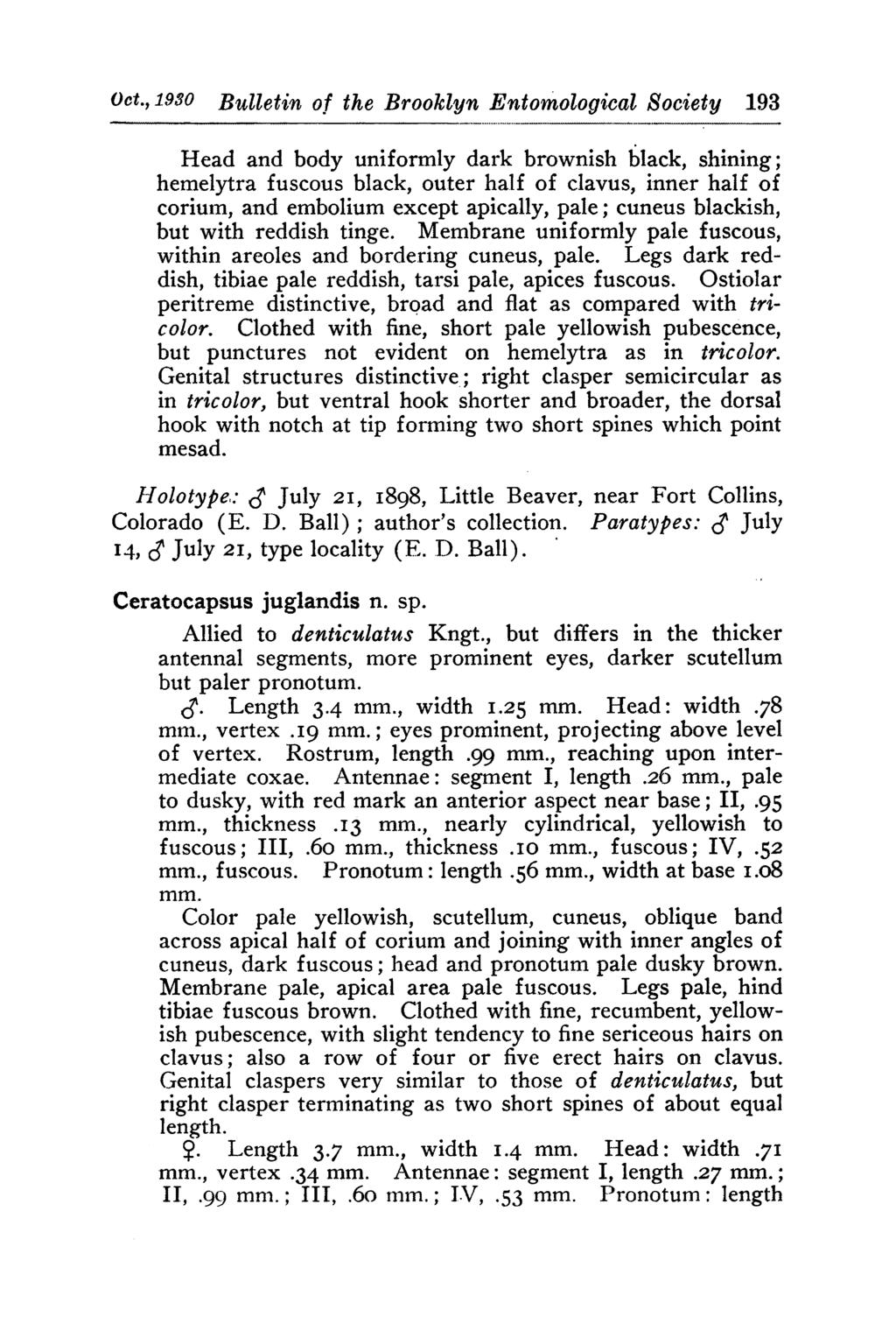 Oct., 1930 Bulletin of the Brooklyn Entomological Society 193 Head and body uniformly dark brownish black, shining; hemelytra fuscous black, outer half of clavus, inner half of corium, and embolium