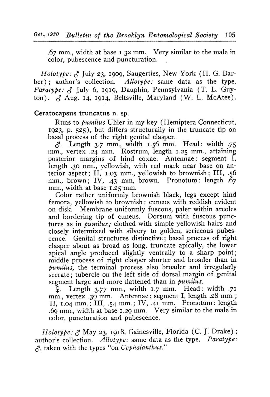 ... _... Oct. 1930 Bulletin of the Brooklyn Entomological Society 195.....67 mm., width at base I.32 mm. Very similar to the male in color, pubescence and puncturation.
