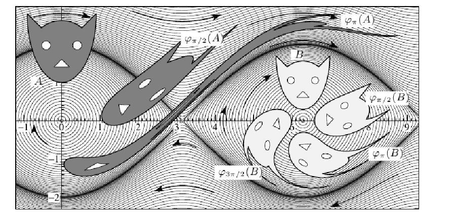 Figure 1: Area preservation of the flow of Hamiltonian systems (courtesy of E. Hairer). 3.