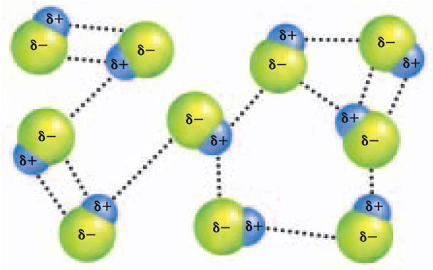 Dipole Forces Attractions between polar molecules, stronger than London dispersion forces: (-) end of one polar