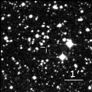Photometric study of new southern SU UMa-type dwarf novae 5 Table 3. Times of superhump maxima of V877 Ara. E a BJD 2400000 O C b 0 52434.9606 0.0109 1 52435.0482 0.0073 24 52436.9913 0.0032 25 52437.