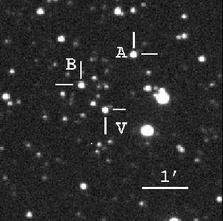 0038 a Cycle count since BJD 2452434.961. b O C calculated against equation 1. 3.5 Astrometry and Quiescent Counterpart Astrometry of the outbursting V877 Ara was performed on CCD images taken by R.