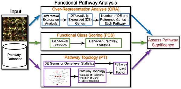 Overview of exis,ng pathway analysis methods Khatri P, Sirota M, Butte AJ (2012) Ten Years of Pathway Analysis: