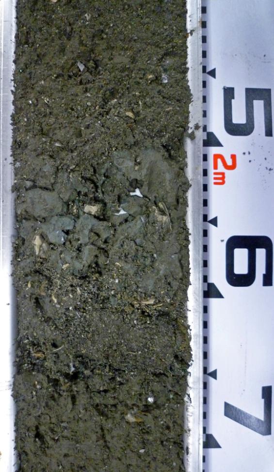 and coarse sand were identified in the inner bay fine