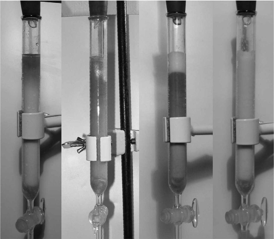 38 Figure 14 Samples of Starch itrate kept in a wet condition for three months (a: before; b: after) Figure 13 Ion Exchange process in a laboratory size glass column.