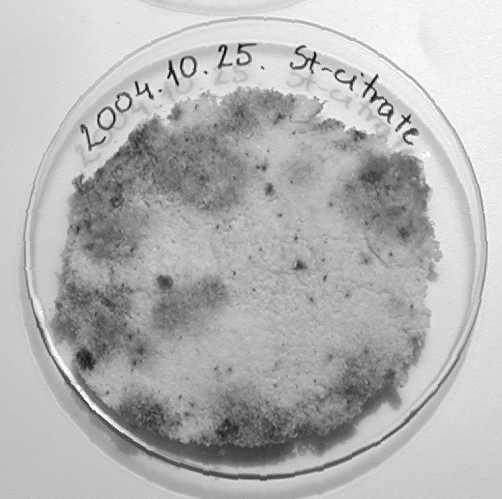 Investigation of biodegradability ne great advantage of starch citrate is its biodegradability. Some experiments were made to test this quality also.