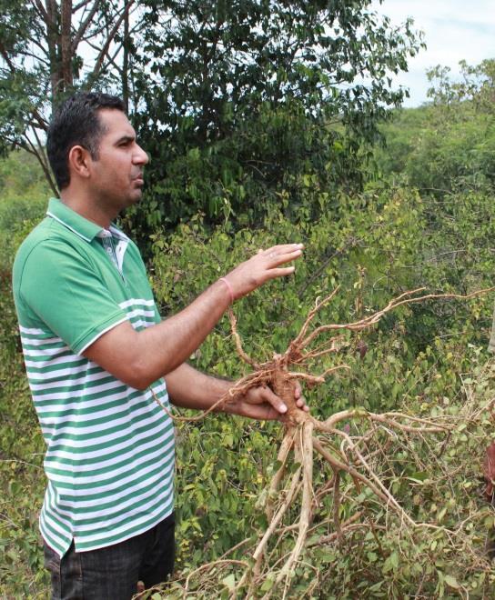 3. What are the problems in using Lantana management methods like removal using JCB?