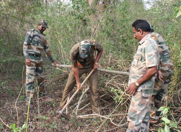 teams with no prior experience were able remove several large bushes in a short span of 20-30 minutes. 5. What has been success rate of the Cut Root-Stock method in other wildlife sanctuaries?