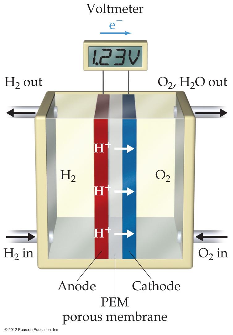 Hydrogen Fuel Cells