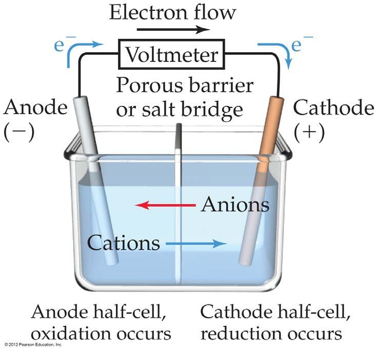 In the cell, then, electrons leave the anode and flow through the wire to the cathode.