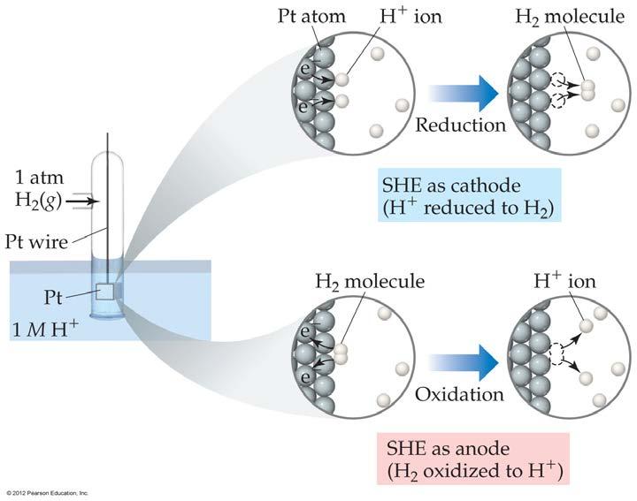 Standard Hydrogen Electrode Their values are referenced to a standard hydrogen electrode (SHE).