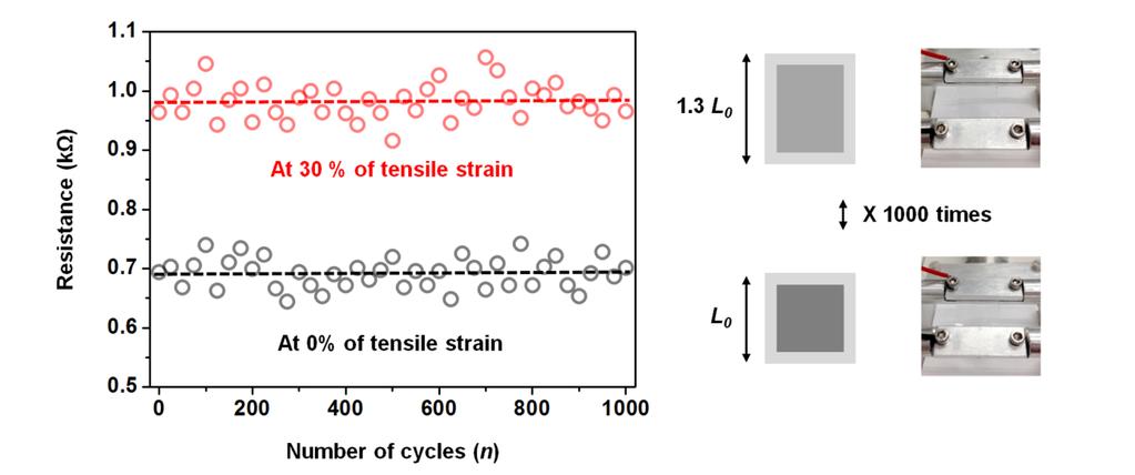 6. Mechanical durability of the textured graphene/pdms film. Figure S6. The changes in resistance of textured graphene/pdms film under sequentially repeated stretching tests for 1000 cycles.