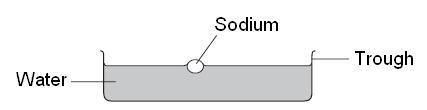 2 Answer all questions in the spaces provided. 1 (a) A chemistry teacher demonstrated the reaction between sodium and water to some students. One of the students wrote the following notes.