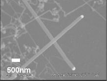 Nanowire MOSFET n-poly Si drain wrap around poly Si gate nanowire channel spin on glass, PECVD SiO 2 n-si