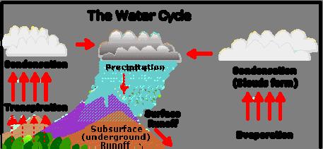 14. In the water cycle, the Sun's heat provides energy to evaporate water from the Earth's surface (oceans, lakes, etc.). The water vapor eventually condenses, forming tiny droplets in clouds.