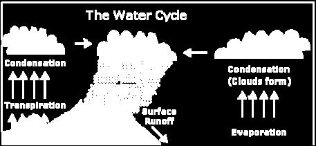 The water flows downhill as runoff (above ground or underground), eventually returning to the seas as slightly salty water. And then the cycle starts over.