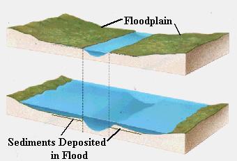 Floodplains Floodplains are low, flat areas next to rivers, lakes and coastal waters that periodically flood when the water is high.