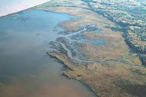 Coastal Peatlands in flux - 1 Altered shore fens, Allouez Bay, WI.