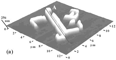 A three-dimensional representation of the PDMS stamp seen in figure 4 (b) is shown in figure 5 (a) below.
