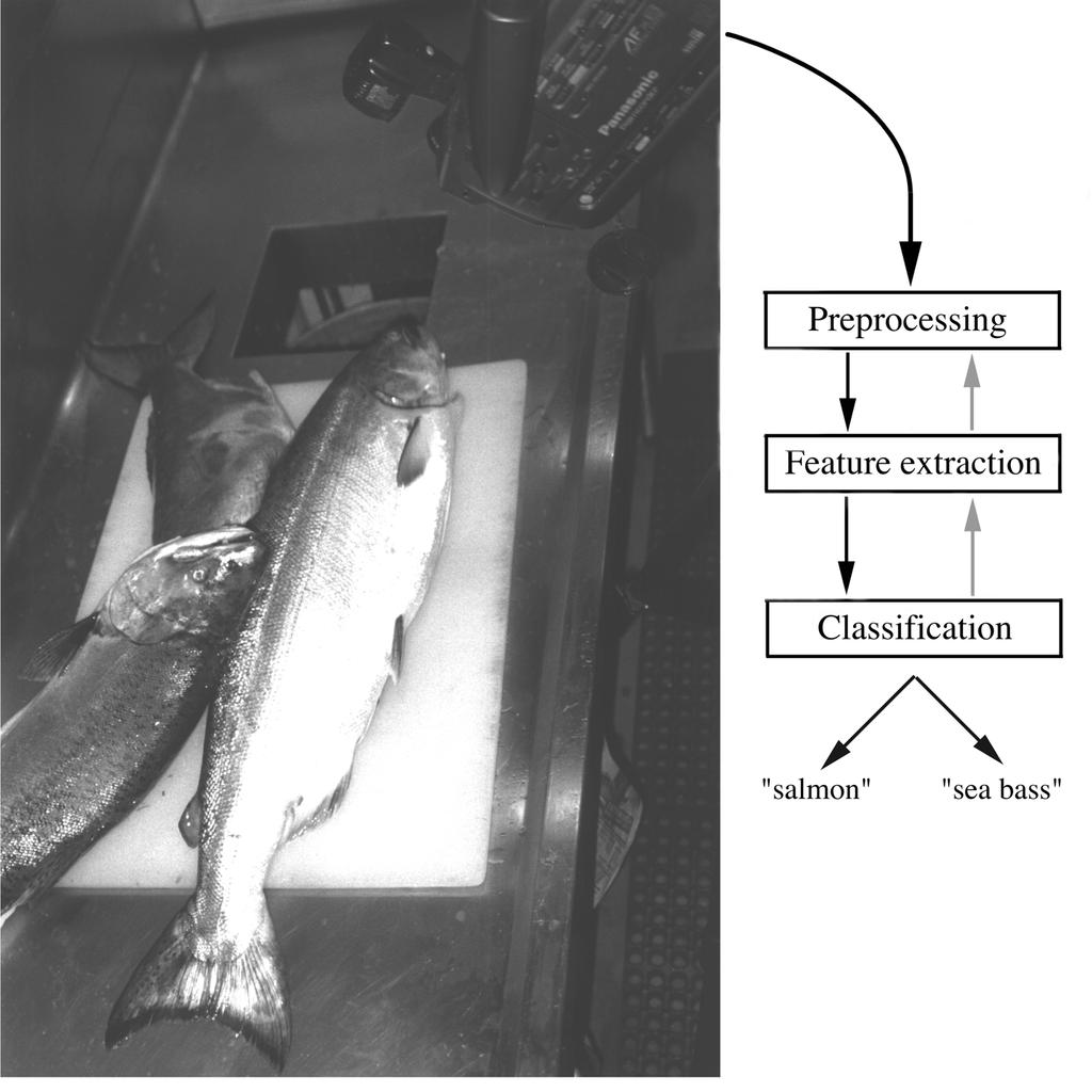 Example Count salmon sea bass 22 20 18