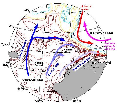 Chukchi Sea Outflow Long Strait = TOPOGRAPHIC CONSTRAINTS (Potential Vorticity Conservation) - Taylor columns in Chukchi - flow ~ along isobaths eastward BUT WE SEE PW GETS AWAY FROM TOPOGRAPHY =
