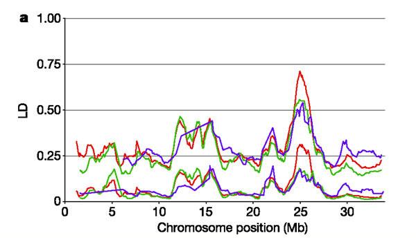 Recombination in human chromosome 22 (Mb scale) Dawson et al.