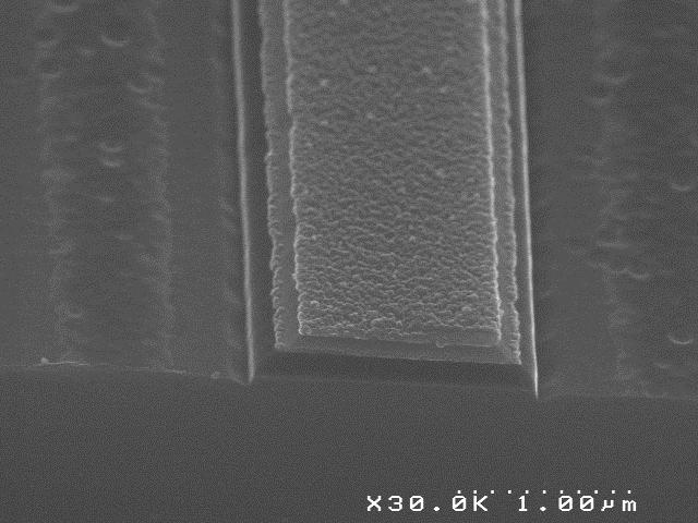 ASD on 3D patterned substrate (SEM image by M.