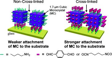 Crosslinked Crystal Arrays The adhesion of zeolite crystals to the substrate is week due