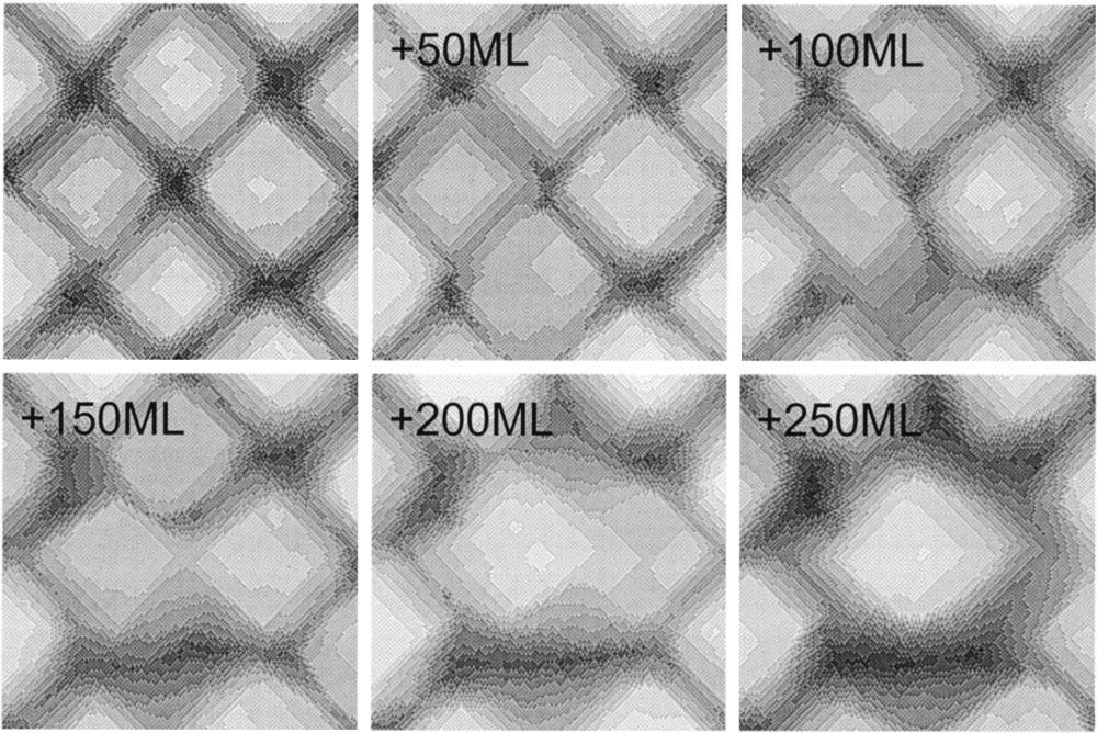 FIG. 6. Complex mound dynamics within ordered 1 1 patches at 230 K in the atomistic model. Images are 35 35 nm 2. Coverage increments are 50 ML. produces modified behavior.