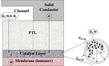Figure 3.1: 2D-diagram of cathode domain. The solid flow-field plate conductor and membrane are not included in the model. meet.
