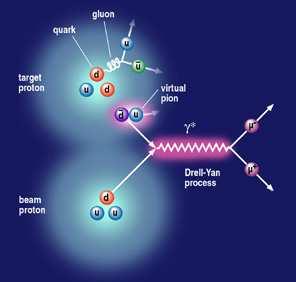 Hadron Physics: Sea Quark at Large x Bj Direct investigation of quark-gluon multibody system Proton beams (50 GeV) +hydrogen/deuterium target+dimuon ( Drell-Yan process) spectrometer dbar/ubar