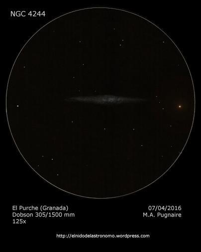 Suggested Objects NGC 4244 The Silver Needle Galaxy Galaxy in Canes Venatici NGC 4244 is an edge on spiral Galaxy that gets it s name from