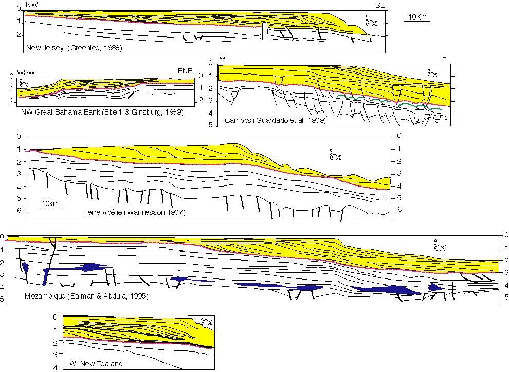 Worldwide Stratigraphic architecture Neogene prograding clinoforms Oligocene unconf.