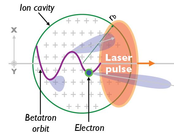 Radiation of relativistic e - beams