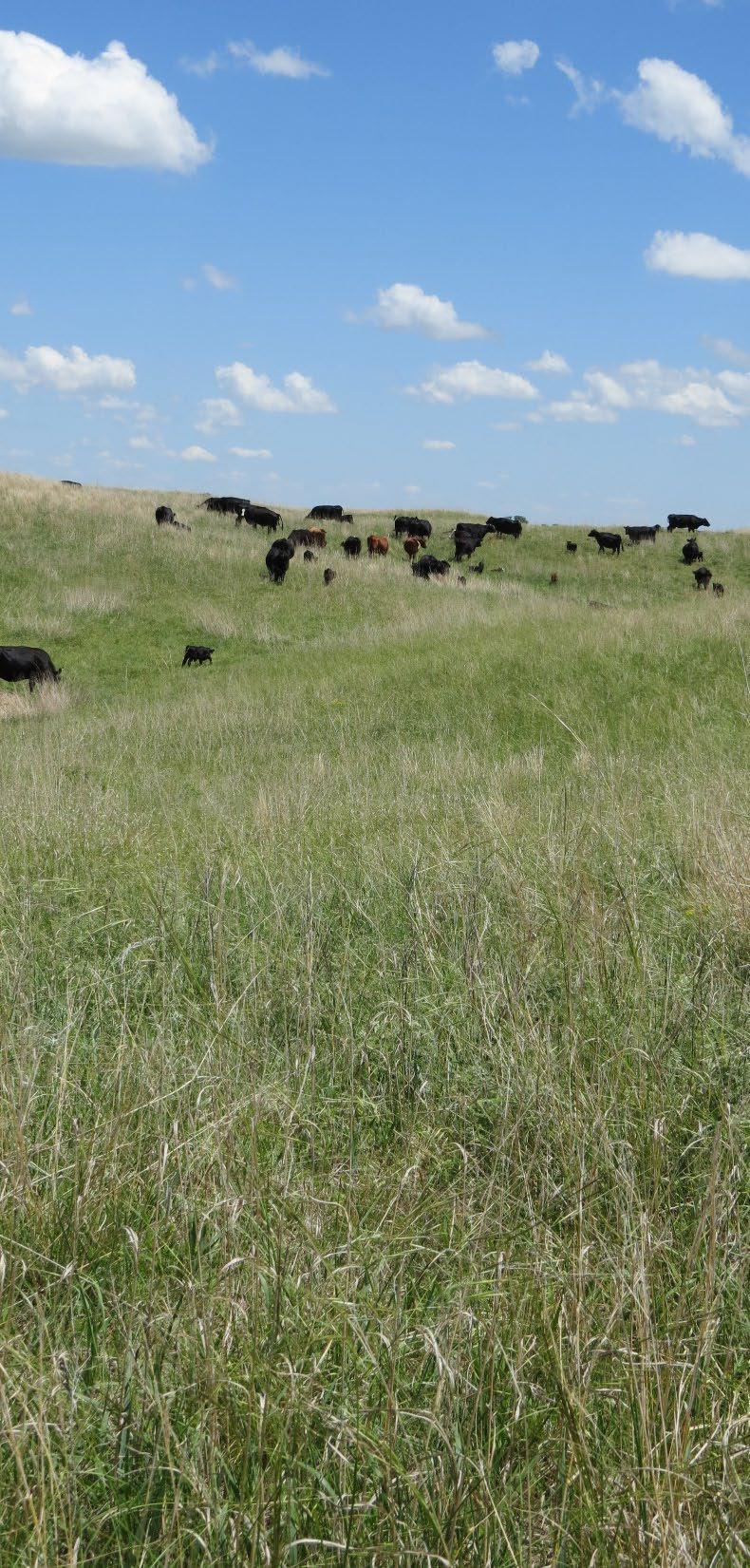 Range Plant Forage Value Forage value is a rating of how well a plant provides nutrients to grazing animals.