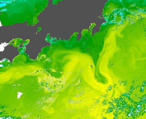 Front variability in Kuroshio and Loop Current The front variability in the western boundary currents is highly active The Kuroshio south of Japan has meandering