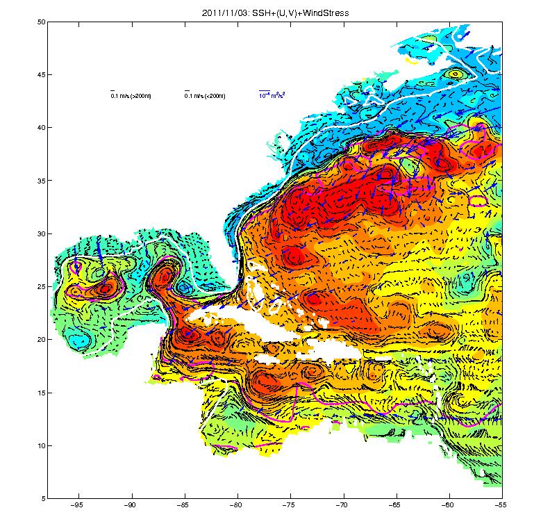 Operational ocean forecast systems Japan Coastal Ocean Predictability Experiment (JCOPE) Princeton regional Ocean