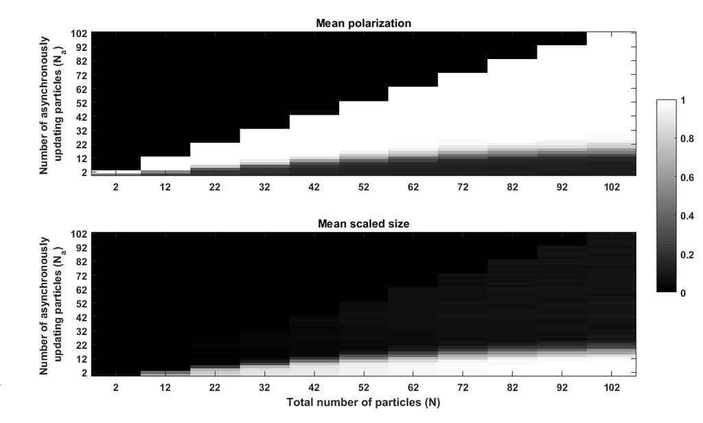 Figure 4: Mean polarization and scaled size over 100 simulations for each (N, N a )-pair.