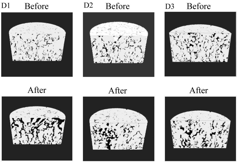 Porosity changes D1 : Localization of the dissolution formation of large