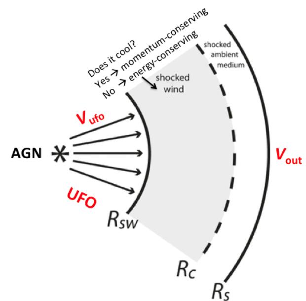 THE TWO-PHASE AGN FEEDBACK MECHANISM sdfs Radia@ve& forces& accelerate& out& the& Ultra?