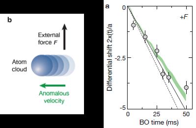 Measuring the Chern number of Hosftadter bands with hot bosons apply additional electric field V = F r [F : constant force]