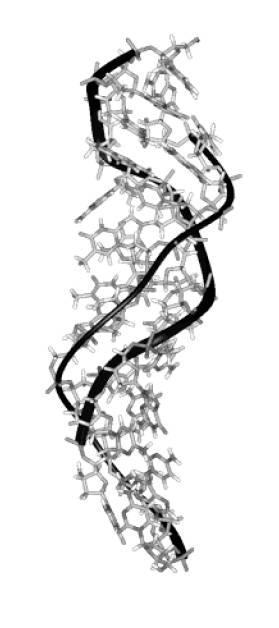 The Structure of DNA in a Vacuum MD simulations of DNA in the