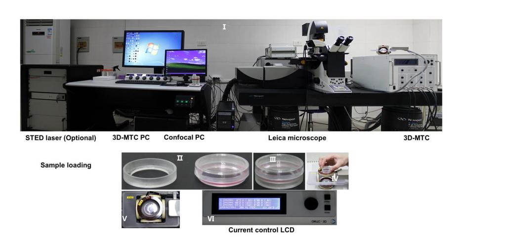 Supplementary Figure 1 Photographs of the 3D-MTC device and the confocal fluorescence microscopy.