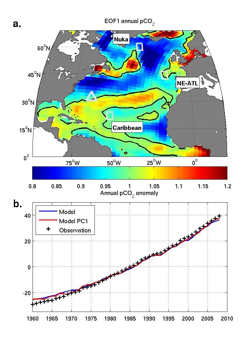 Climate-carbon cycle fluctuation in the North Atlantic Annual pco2(sea) EOF1 Annual pco2(sea) EOF2 Modeling