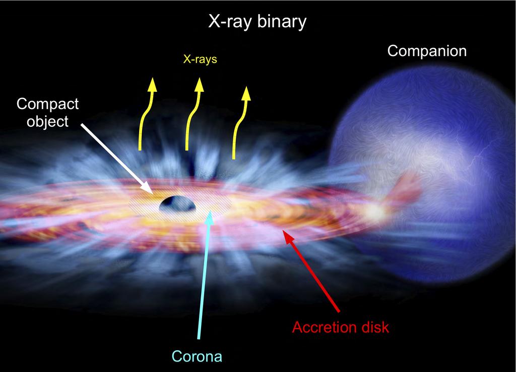 Millisecond Pulsars (MSPs) Ver y rapid rotating neutron