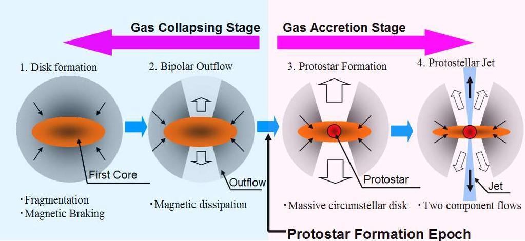 Star Formation Process can be Divided into Two Stages Molecular Cloud Core Gas collapsing stage