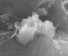 Figure 14. Scanning electron microscope photomicrographs showing examples of high-iron content mineral phases (high atomic number) present in the sandstone pipes and adjacent host strata.